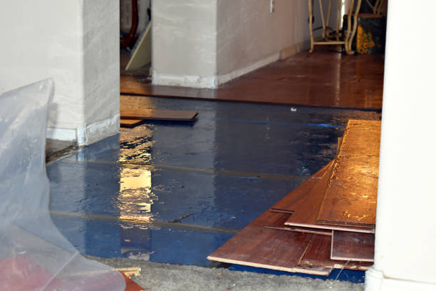 Professional Sewage Cleanup technician working in Mentone, AL